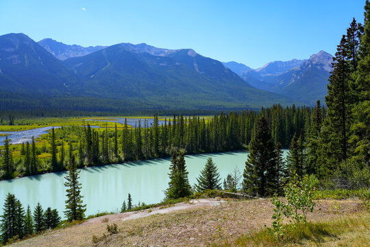 Backswamp next to the Bow River in Banff National Park, Alberta, Canada
