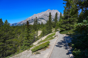 Fototapeta premium Hoodoos Trail in Banff National Park, Alberta, Canada