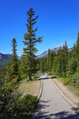 Hoodoos Trail in Banff National Park, Alberta, Canada