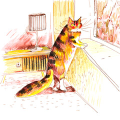 Cat Looking Out Window Illustration