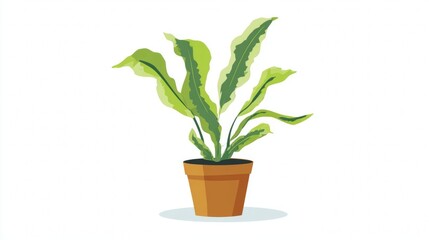 Fototapeta premium A potted plant with green leaves.
