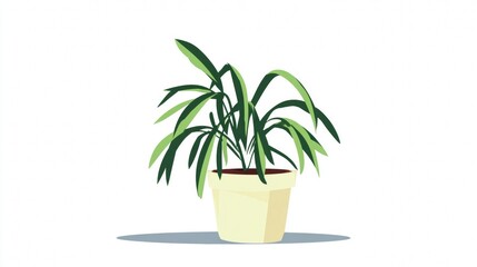 Fototapeta premium A potted plant with long green leaves.