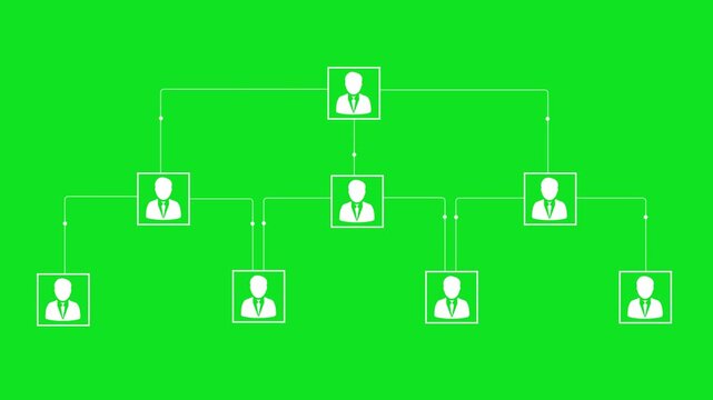 Team tournament bracket championship template animation concept. Championship bracket schedule for soccer, football, basketball, baseball. Tournament bracket templates isolated on green background.