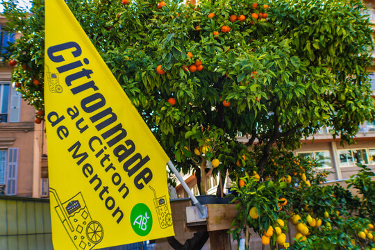 Menton, France - February 16th 2026: French citronnade sign awith lemon and orange tree at the citrus festival, la F&ecirc;te du Citron