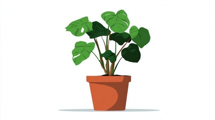 Obraz premium Potted plant with green leaves in terracotta pot.