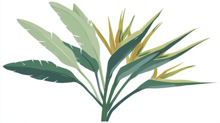 Fototapeta premium Tropical Bird of Paradise Plant with Green Leaves and Yellow Flowers.