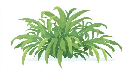 Obraz premium Green plant with long leaves on white background.