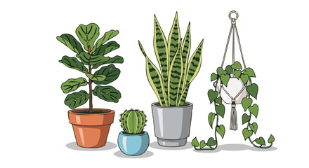 Fototapeta premium Vector illustration of trendy houseplants in pots. Fiddle Leaf Fig, Snake Plant, Cactus, and hanging plant on black background.
