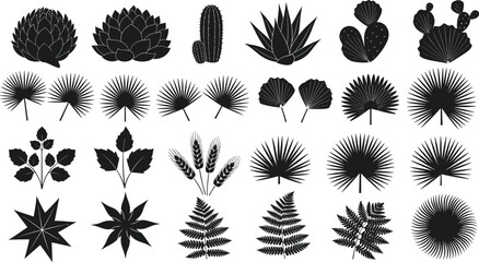 Botanical plant silhouettes set, tropical leaves cactus fern and palm shapes, black nature icons collection, vector illustration isolated design elements © Sayedmohammad
