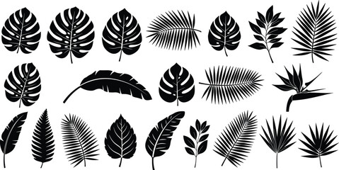 Tropical leaves silhouette illustration set with monstera palm fern and banana foliage shapes isolated on white background for botanical and jungle design © mdanichur