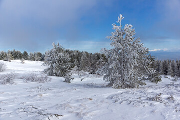 Landscape of Vitosha Mountain, Bulgaria