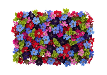 photorealistic macro photography, top-down flat lay view of tiny crimson, blue, and magenta flowers with dewdrops, isolated on a transparent background. sense of springtime vitality