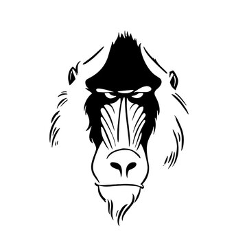 Mandrill. Mandrill simple black and white line art vector logo