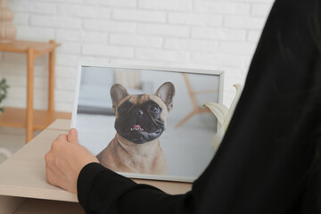 Woman holding frame with picture of dog in room, closeup. Pet funeral