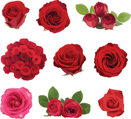 Fototapeta premium seamless pattern with red roses