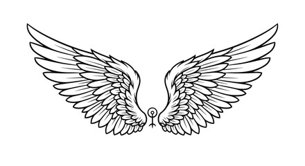 Obraz premium Pair of Angel Wings Illustration Design.