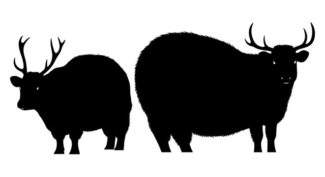 Silhouette of two horned animals one significantly larger and rounder than the other showcasing contrast and scale