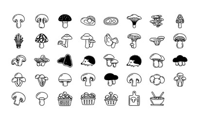 Edible Mushrooms Flat Line Icon Set 30 Pixel Perfect Forest and Culinary Vector Pictograms © Shukimon