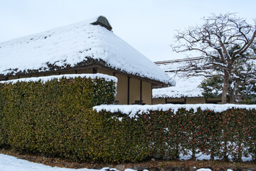 茅葺屋根と生垣