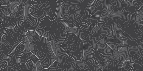 Seamless Abstract Dark Gray Topographic Map Background with Organic Contour Lines, Wavy Elevation Texture and Geographic Grid Vector Design. © Hasan