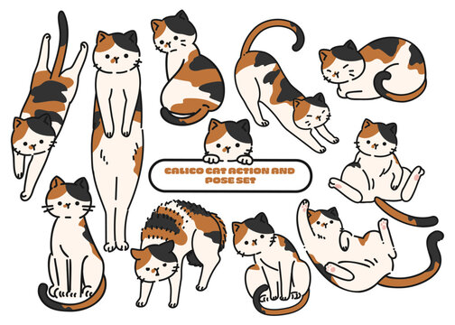 三毛猫の仕草と表情の詰め合わせセット / Calico Cat Action and Pose Set
