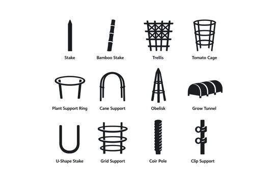 Variety of garden plant supports including trellis, obelisk, and tomato cage