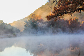 Fototapeta premium A misty morning in the woods with a lake in the background