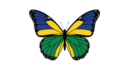 Obraz premium Colorful Butterfly with Vibrant Wing Patterns.