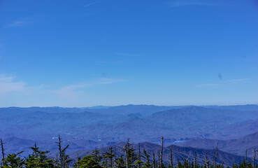 The sky is blue and clear with no clouds