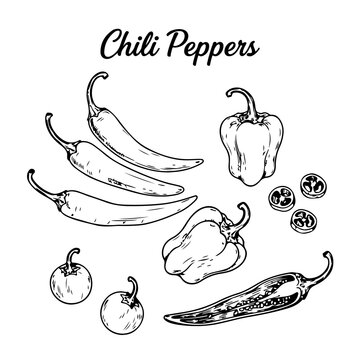 Set of Chili Peppers and Elements Hand Drawn - Stock Illustration