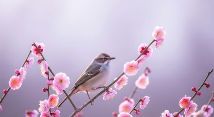 Fototapeta premium Small Bird Sitting on Branch with Pink Blossoms against Soft Background