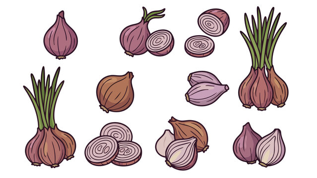 Shallot Icons Vector Set