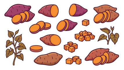 Sweet Potato Vector Set