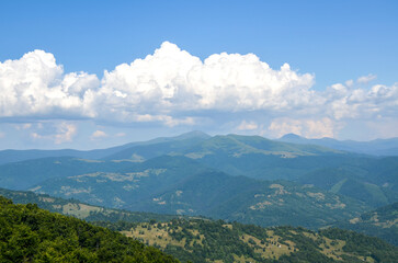 Fototapeta premium Panoramic view of rolling green hills and distant mountains beneath a clear blue sky, dotted with white clouds. Carpathians, Ukraine