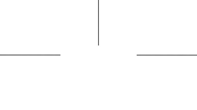 Image features two horizontal black lines, one near the top and another at the bottom, against a white background