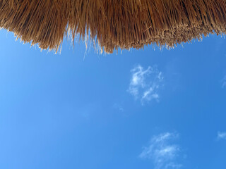 MX Cancun Palapa Fringe 2026