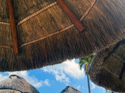 MX Cancun Palapa Structures and Palm 2026