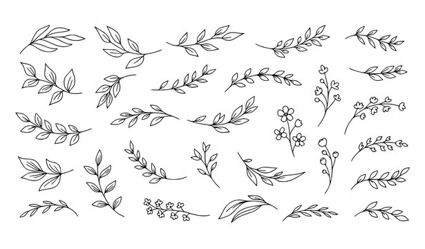 Hand Drawn Botanical Branch and Leaf Icon Set Featuring Floral Sprigs Wild Plants and Decorative Nature Elements for Wedding Branding and Elegant Design