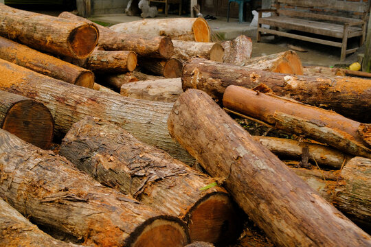 Heap of cut wood logs outdoors in rural area, green foliage and nature around. Concept of forestry, Log trunks pile,the logging timber wood industry.ogs of wood on a pile with chopped wood in the back