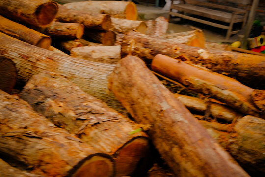 Heap of cut wood logs outdoors in rural area, green foliage and nature around. Concept of forestry, Log trunks pile,the logging timber wood industry.ogs of wood on a pile with chopped wood in the back