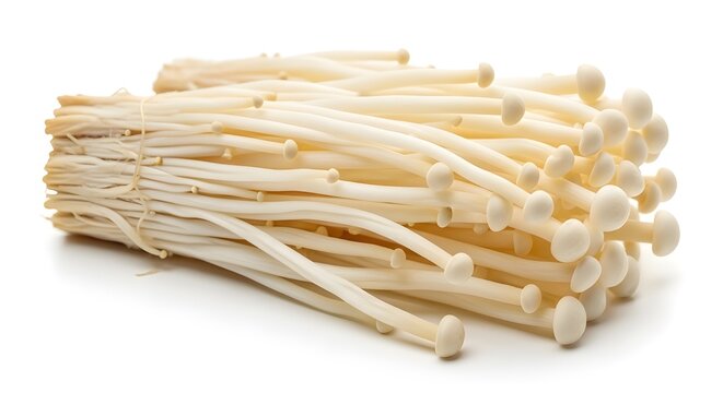 A bunch of fresh white enoki mushrooms tied together on a clean white background