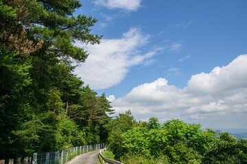 少し険しい猪名川町大野山岩めぐり