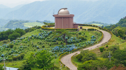 少し険しい猪名川町大野山