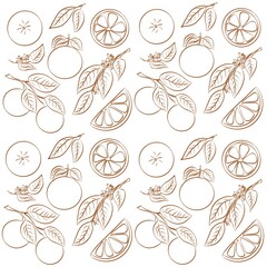 Fototapeta premium Seamless pattern with oranges. 