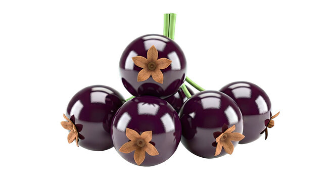 Jamun Fruits on Stems