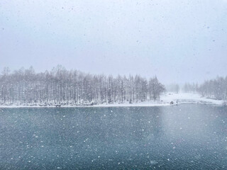 雪が降る池