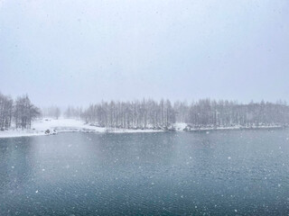 雪が降る池