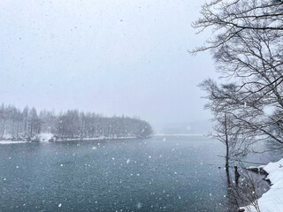 雪が降る池