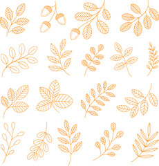 Botanical Leaf and Acorn Line Art Illustration Set, Hand Drawn Autumn Branches, Minimalist Floral Outline Collection for Design