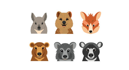 Fototapeta premium Collection of cute Australian animal faces including a quokka koala and tasmanian devil in a clean flat vector illustration style.